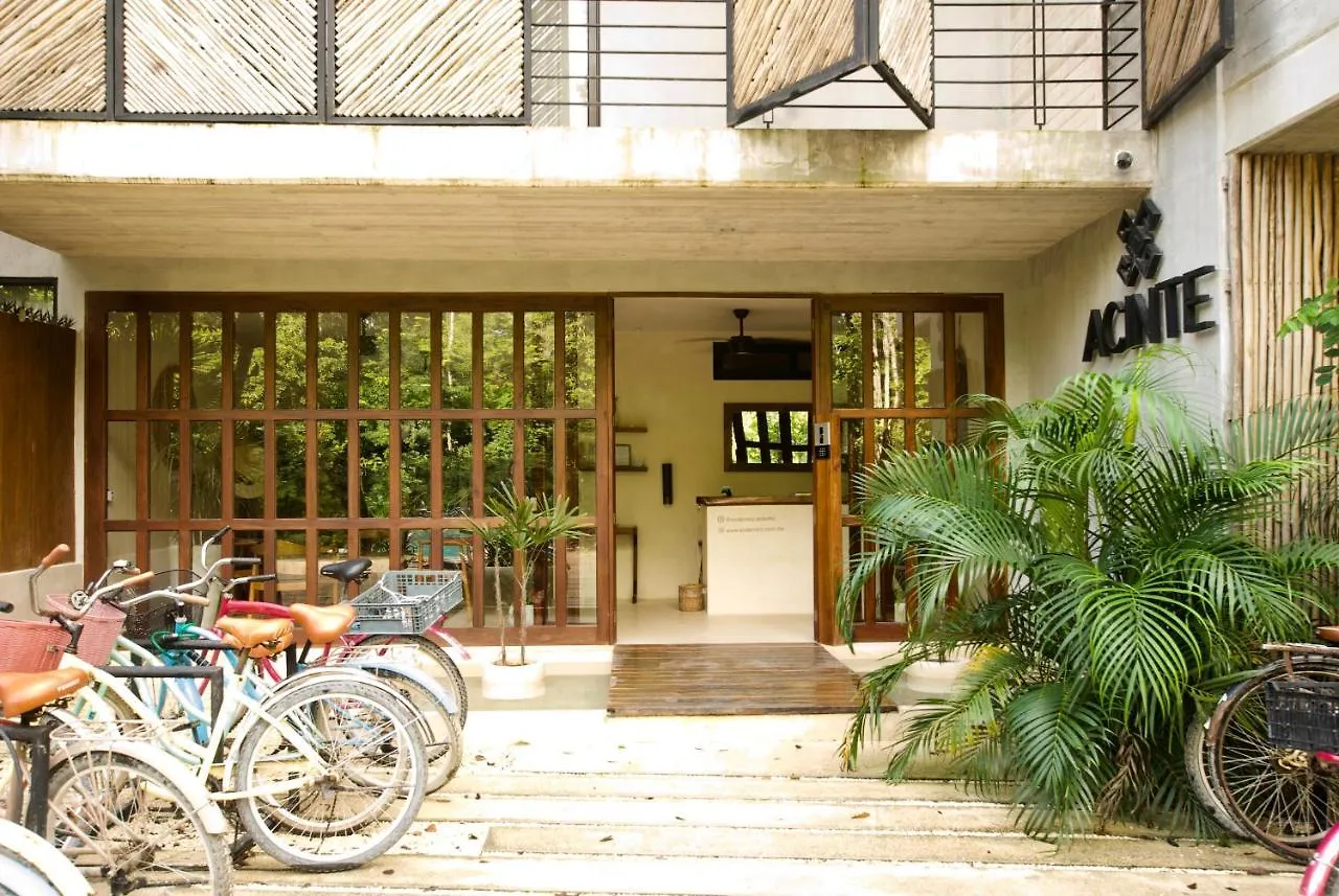 **  Acinte By Endemico Aparthotel Tulum Mexico